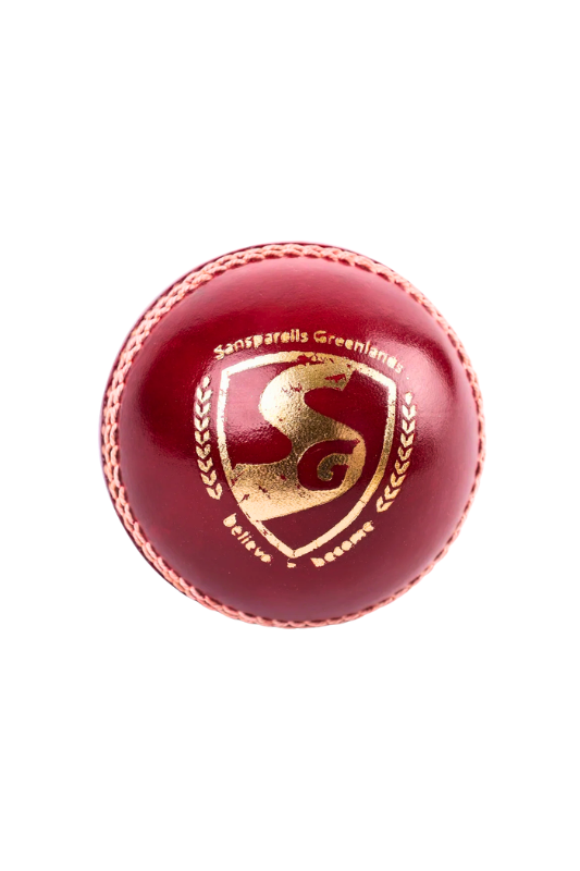 SG Seamer Cricket Leather Ball
